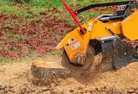  Poteet, TX Tree Services Pros