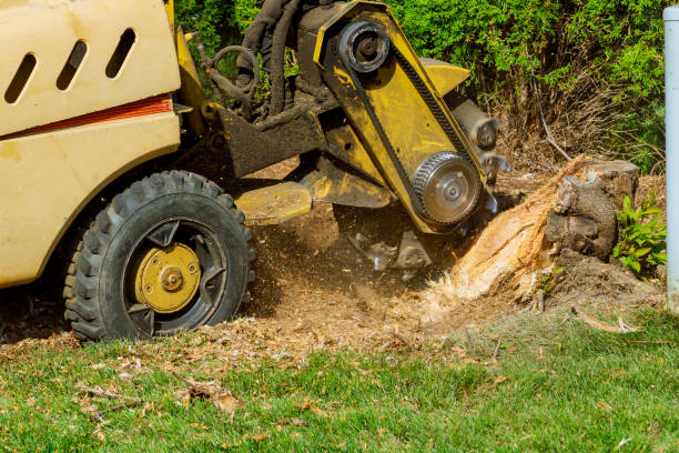 Best Aeration Services  in Poteet, TX