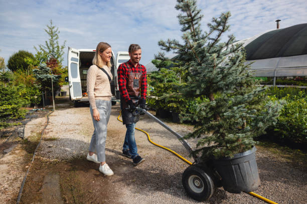 Best Lawn Mowing  in Poteet, TX